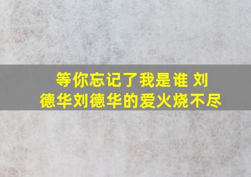 等你忘记了我是谁 刘德华刘德华的爱火烧不尽